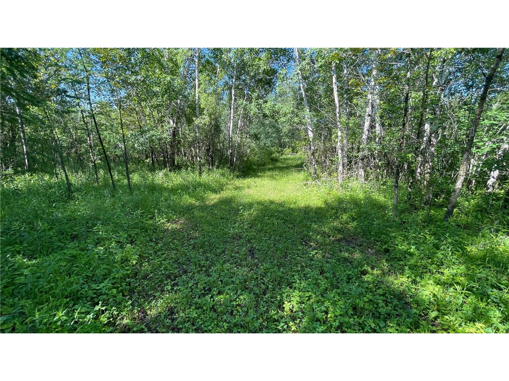 TBD 440th Avenue Golden Valley Twp MN 56761 7100487 image52
