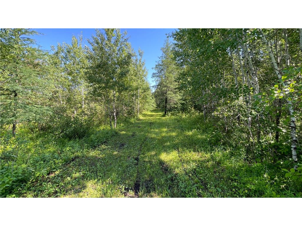TBD 440th Avenue Golden Valley Twp MN 56761 7100487 image53