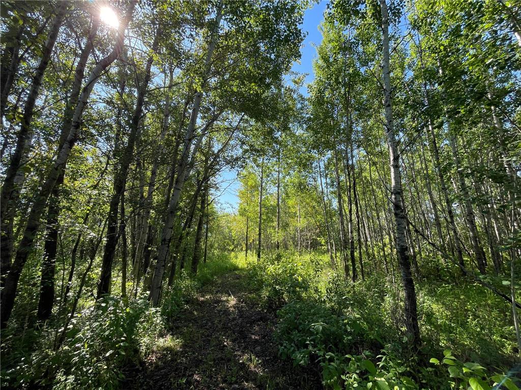 TBD 440th Avenue Golden Valley Twp MN 56761 7100487 image56