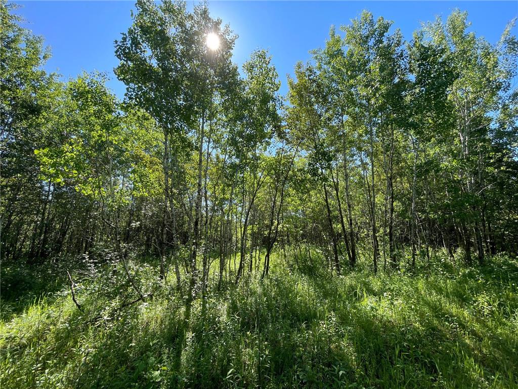 TBD 440th Avenue Golden Valley Twp MN 56761 7100487 image57