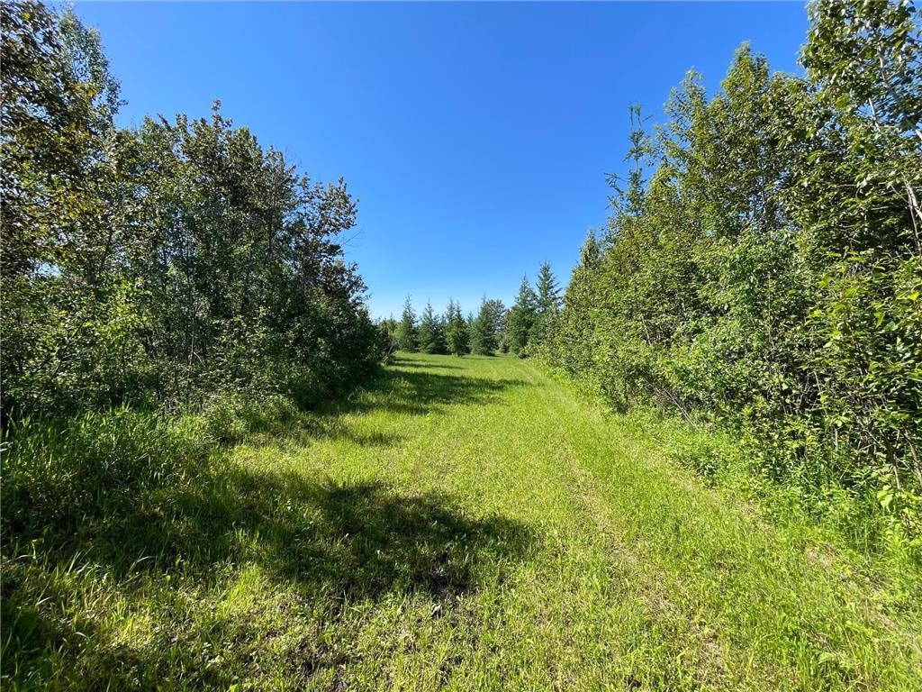 TBD 440th Avenue Golden Valley Twp MN 56761 7100487 image58
