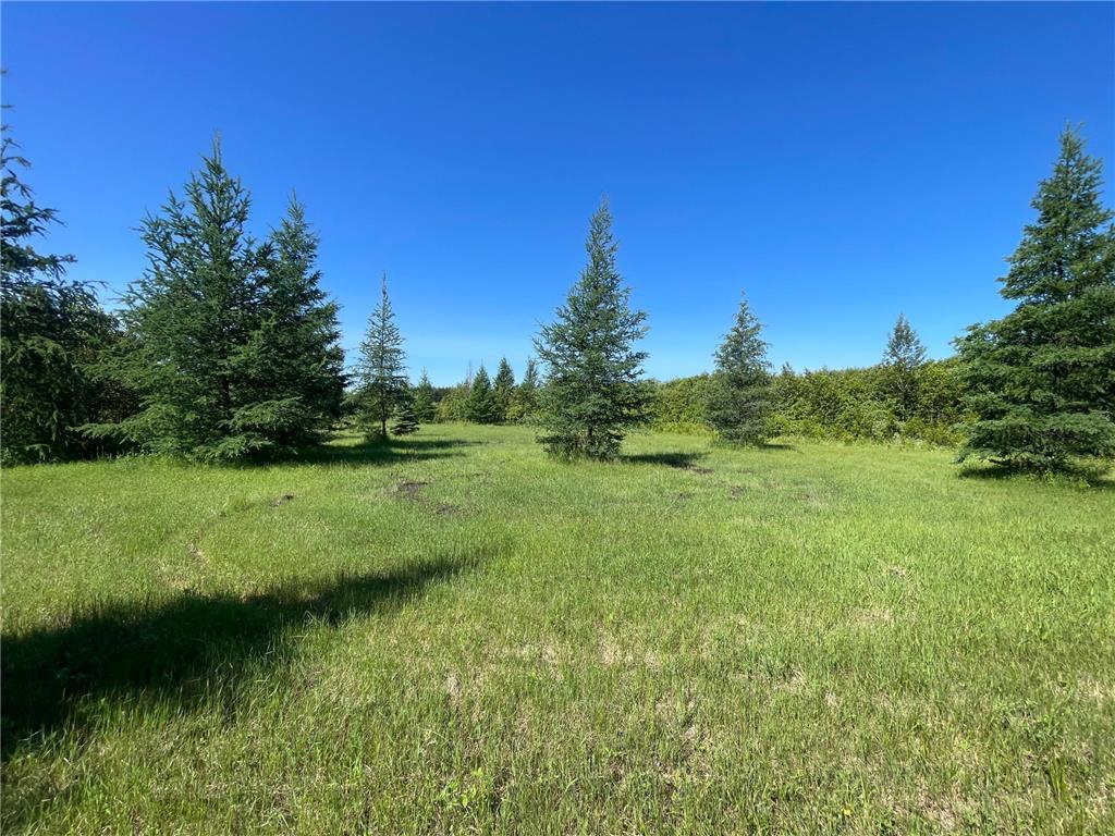 TBD 440th Avenue Golden Valley Twp MN 56761 7100487 image60