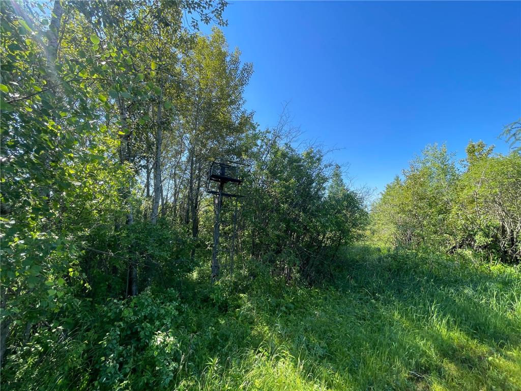 TBD 440th Avenue Golden Valley Twp MN 56761 7100487 image61