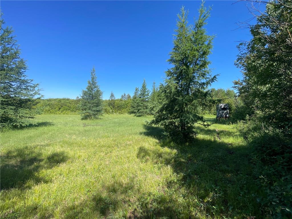 TBD 440th Avenue Golden Valley Twp MN 56761 7100487 image62