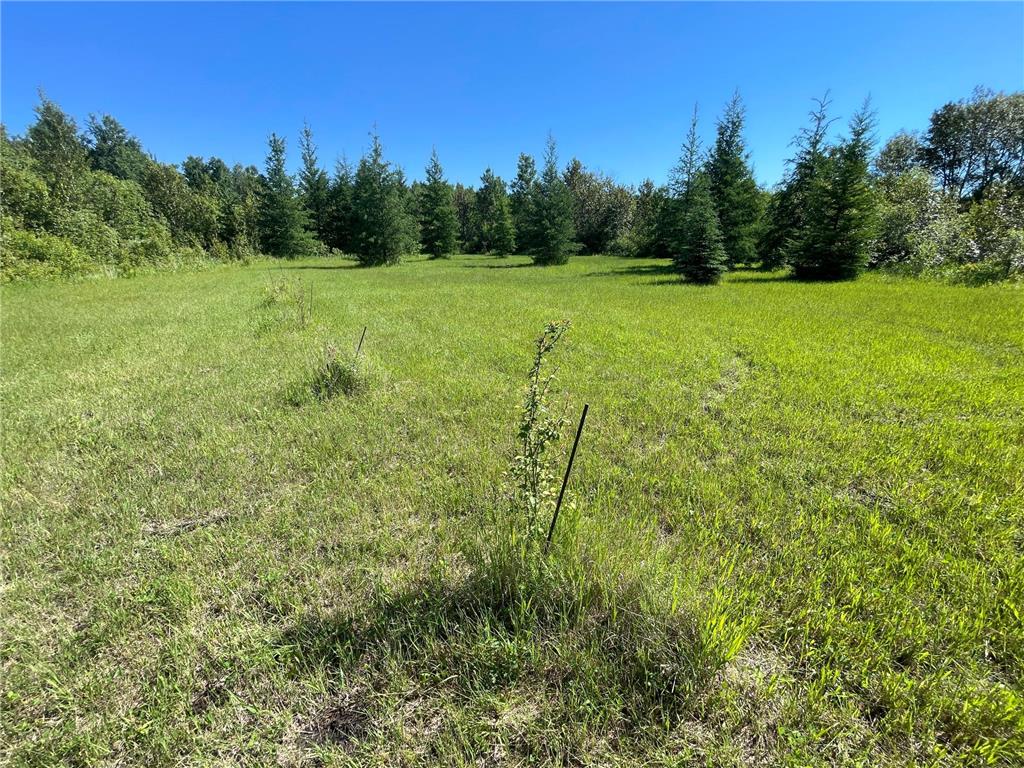 TBD 440th Avenue Golden Valley Twp MN 56761 7100487 image64