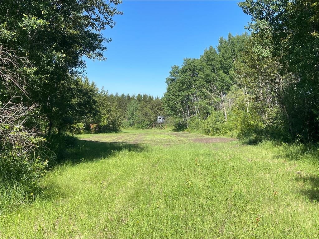 TBD 440th Avenue Golden Valley Twp MN 56761 7100487 image66