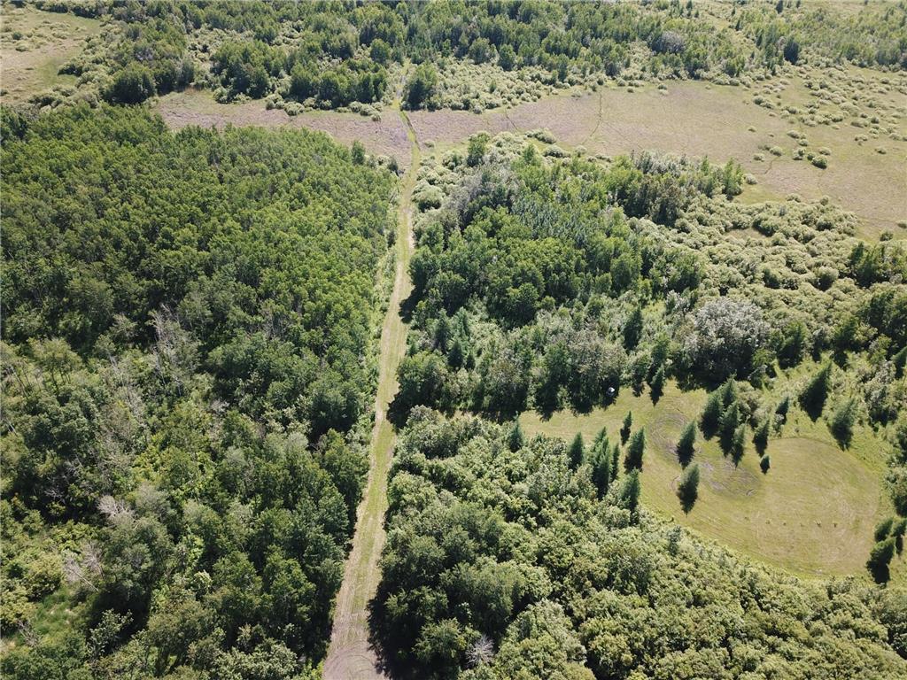 TBD 440th Avenue Golden Valley Twp MN 56761 7100487 image7
