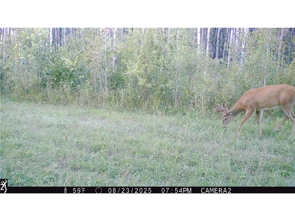 TBD 440th Avenue Golden Valley Twp MN 56761 7100487 image70