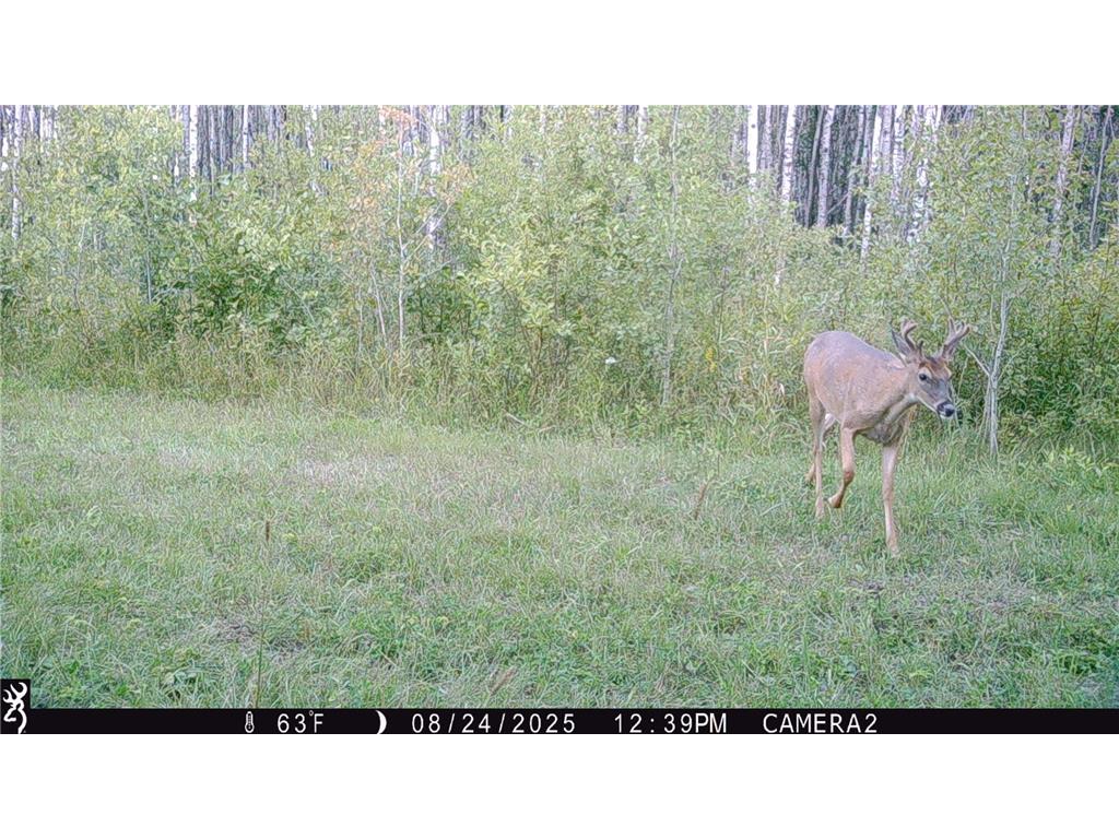 TBD 440th Avenue Golden Valley Twp MN 56761 7100487 image71