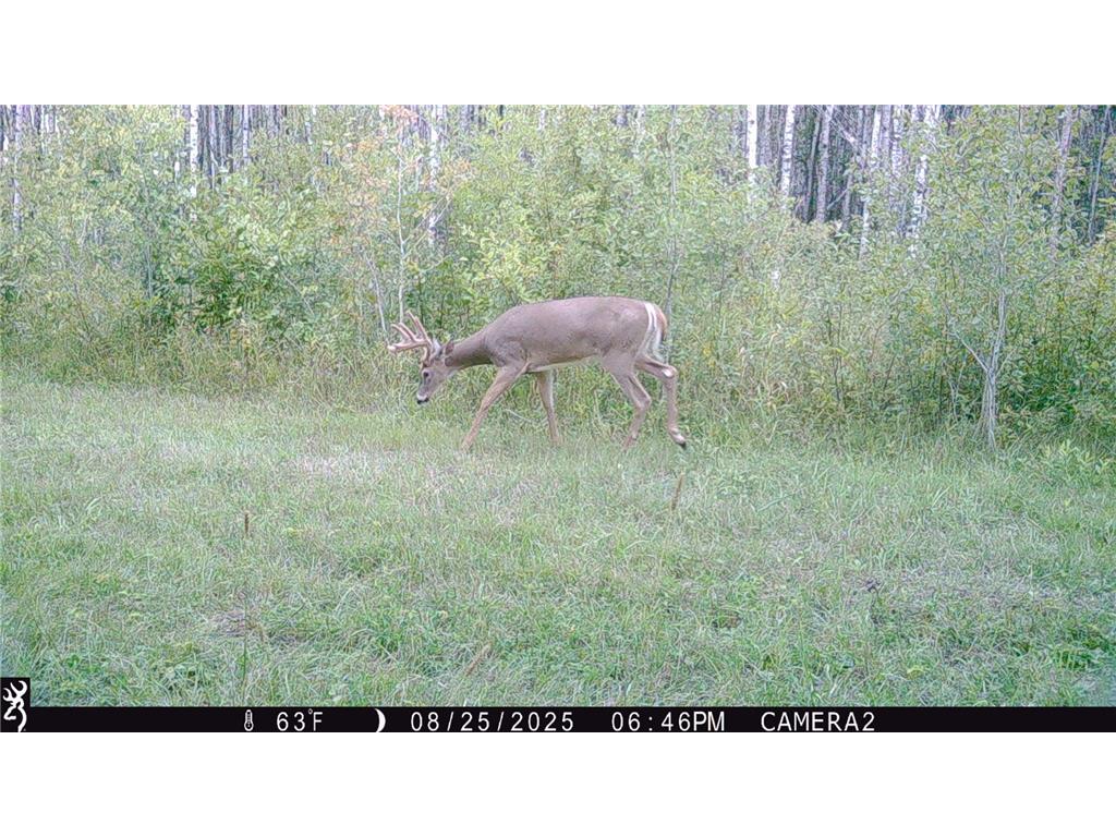 TBD 440th Avenue Golden Valley Twp MN 56761 7100487 image72