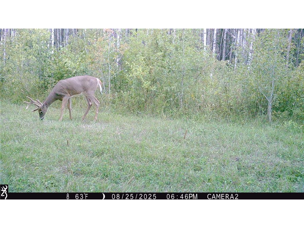 TBD 440th Avenue Golden Valley Twp MN 56761 7100487 image73