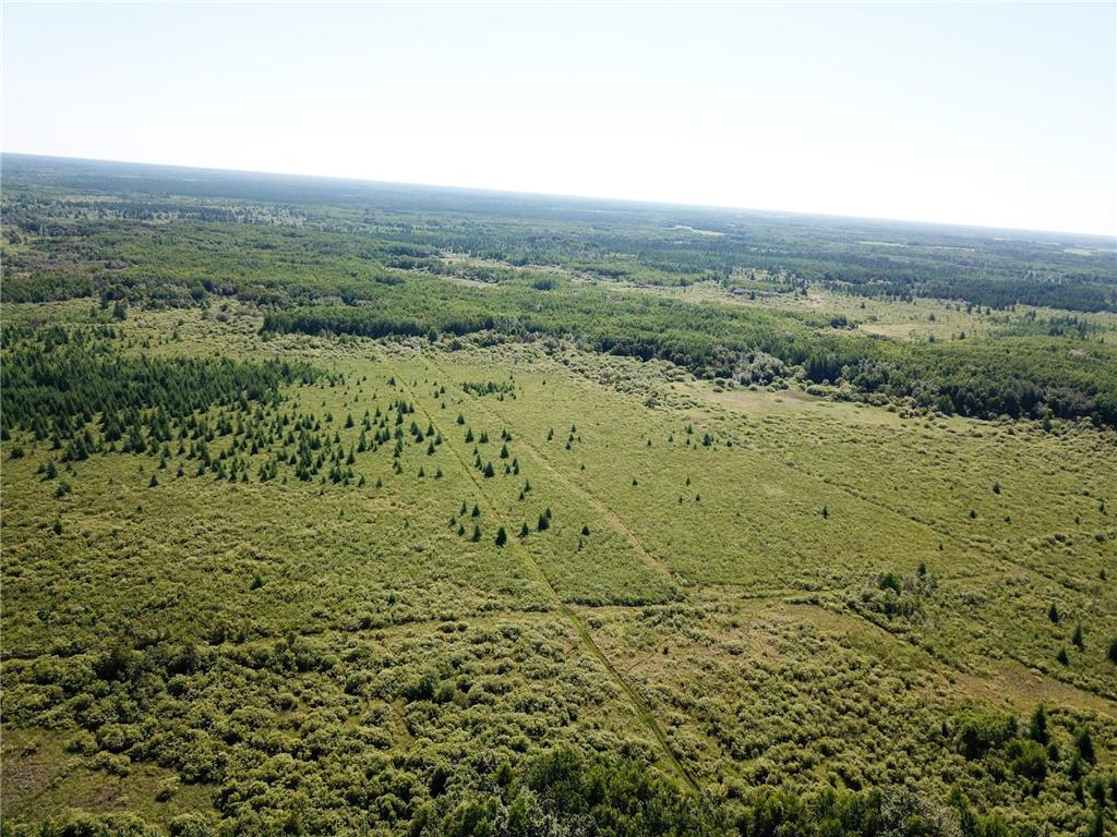 TBD 440th Avenue Golden Valley Twp MN 56761 7100487 image8