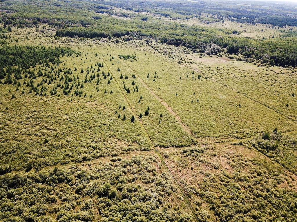 TBD 440th Avenue Golden Valley Twp MN 56761 7100487 image9