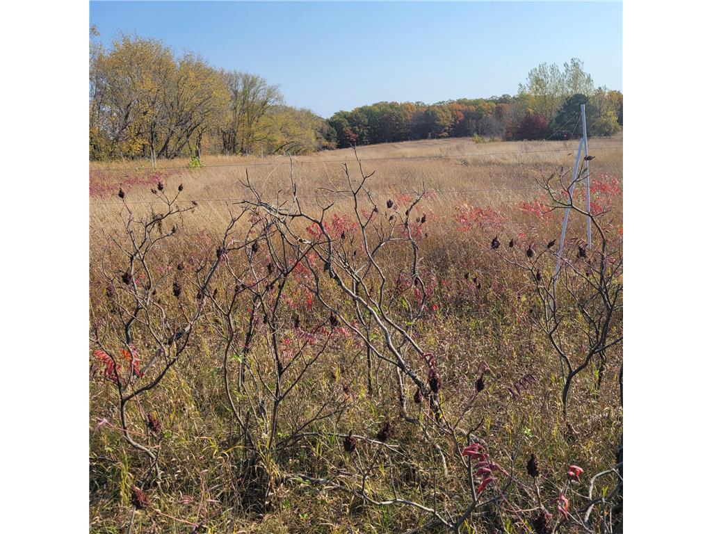 TBD 447th av Ottertail MN 56571 6799419 image1