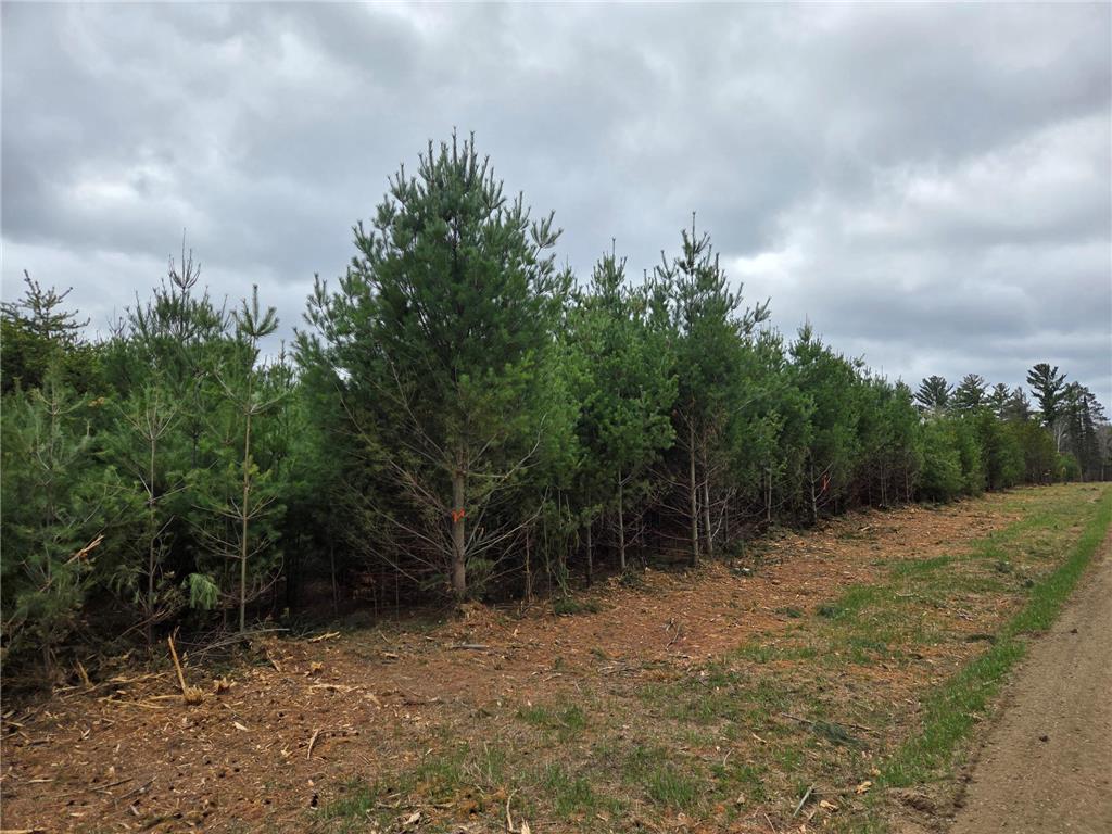 TBD 450th St - Parcel A Laporte MN 56461 7067585 image1