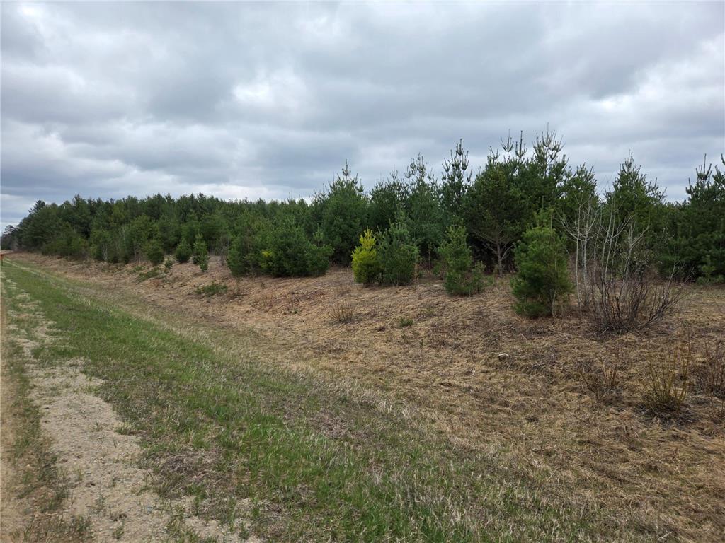 TBD 450th St - Parcel A Laporte MN 56461 7067585 image2