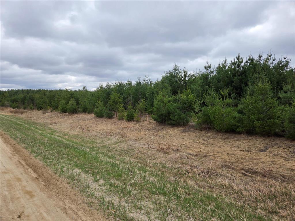 TBD 450th St - Parcel A Laporte MN 56461 7067585 image3