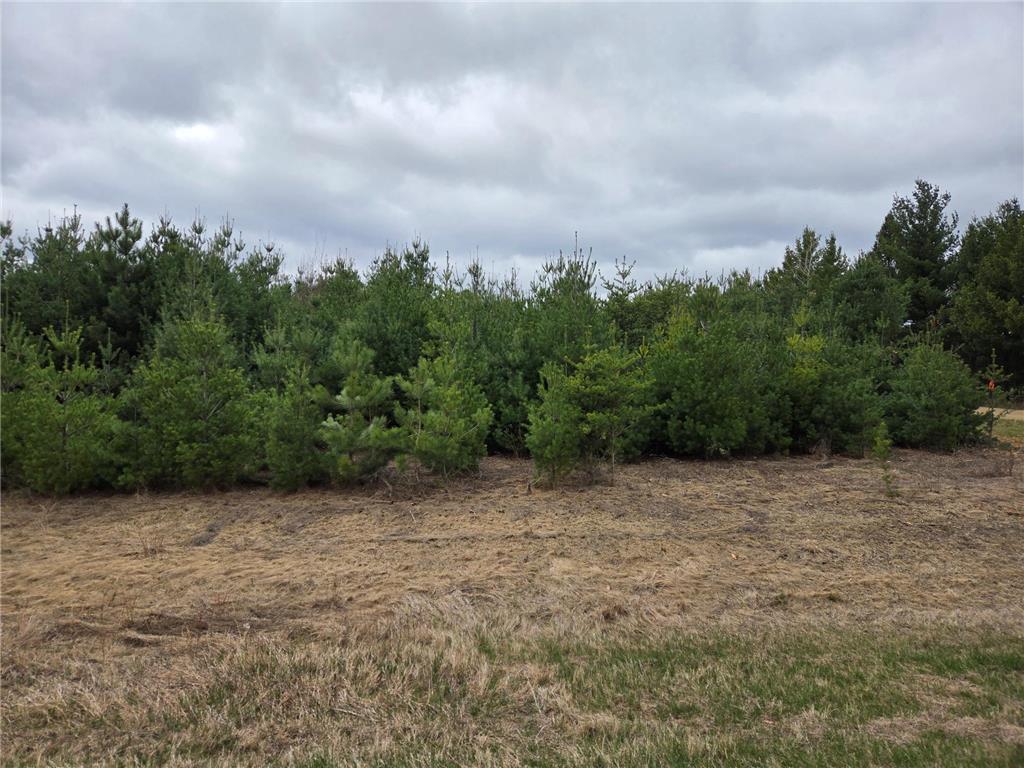 TBD 450th St - Parcel A Laporte MN 56461 7067585 image4