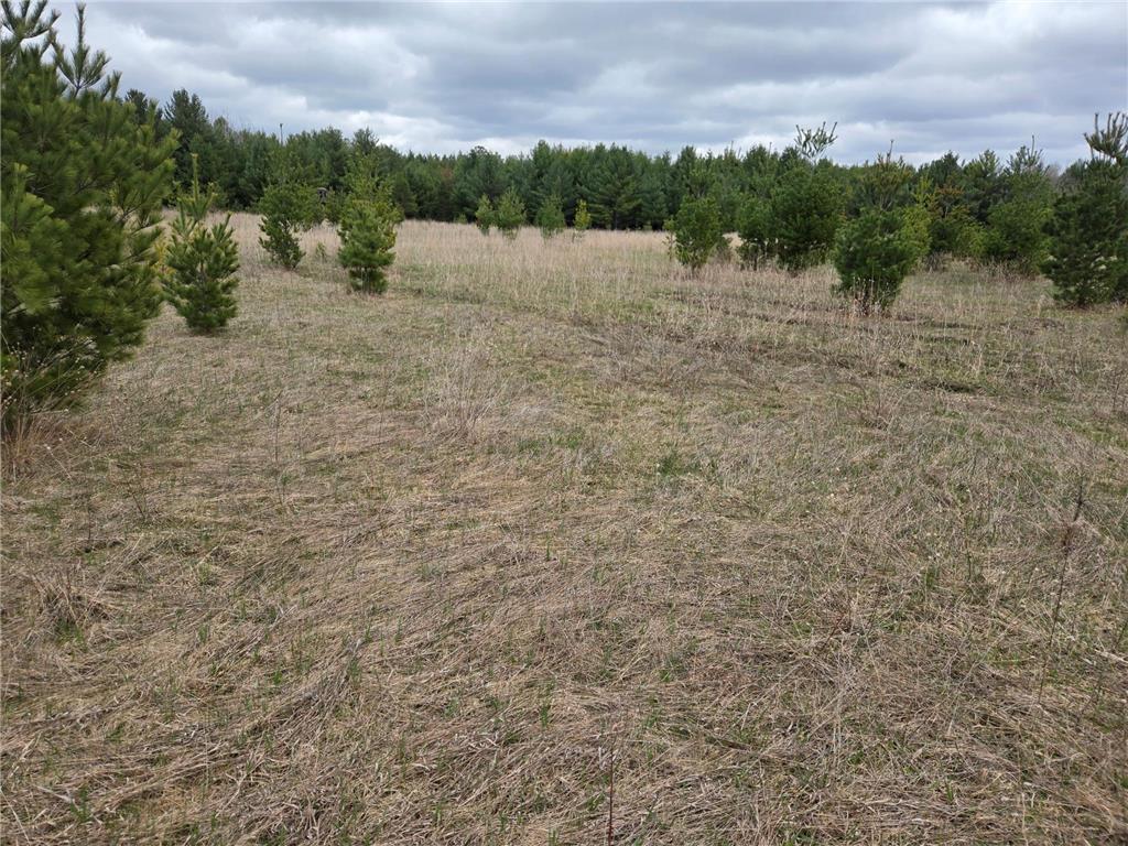 TBD 450th St - Parcel B Laporte MN 56461 7067607 image1