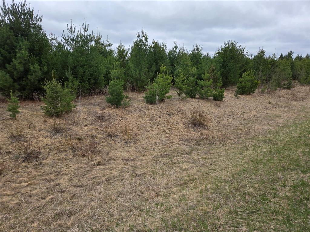 TBD 450th St - Parcel B Laporte MN 56461 7067607 image3
