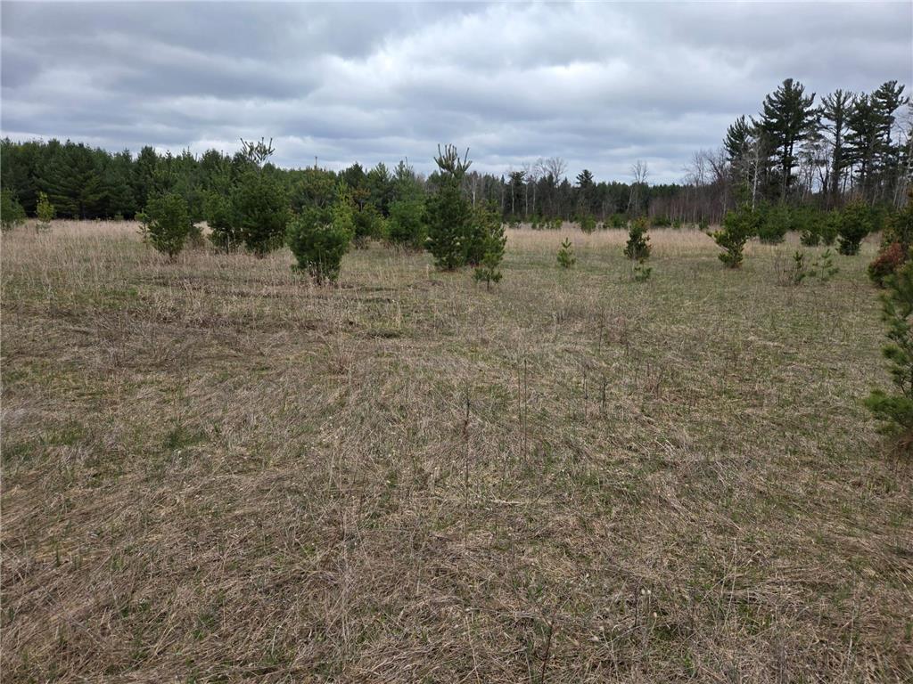 TBD 450th St - Parcel B Laporte MN 56461 7067607 image4