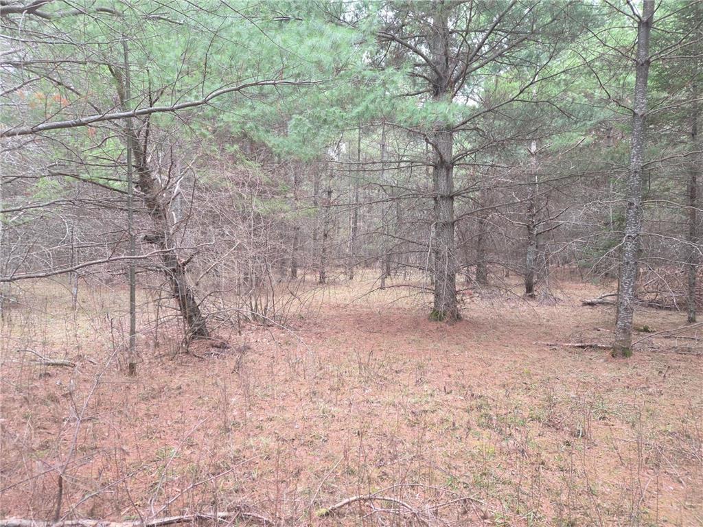 TBD 450th St - Parcel C Laporte MN 56461 7067611 image2