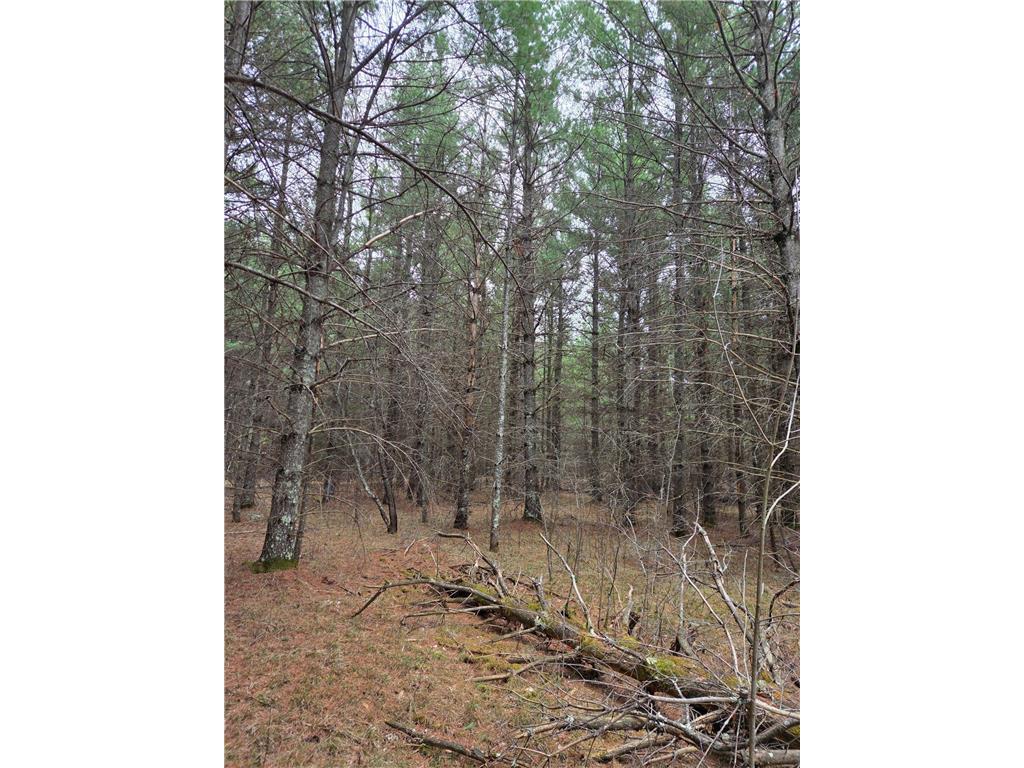 TBD 450th St - Parcel C Laporte MN 56461 7067611 image3