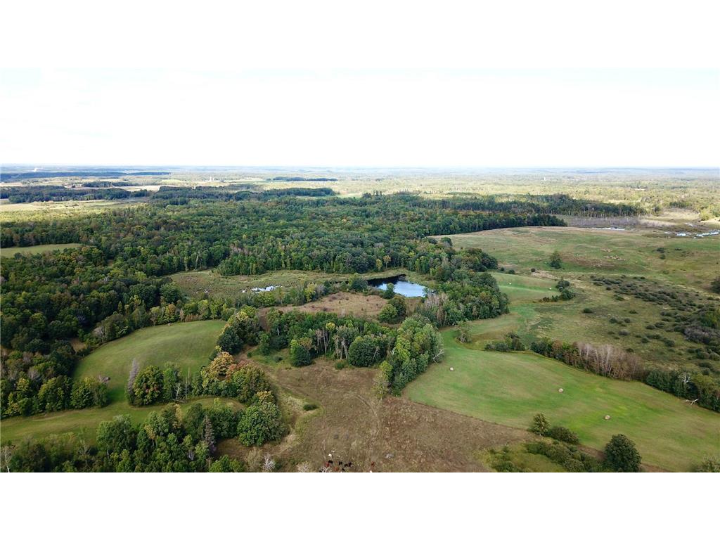 TBD 450th Street Dudley Twp MN 56652 6601157 image1