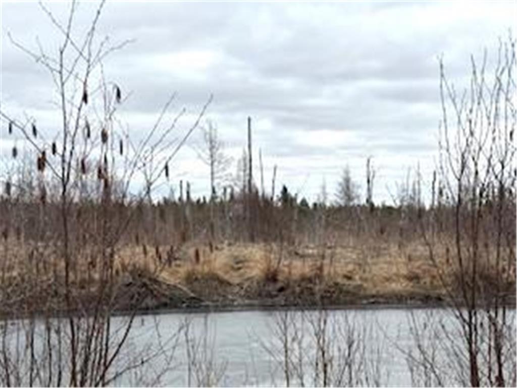 TBD 450th Street Fleming Twp MN 55760 7054866 image1
