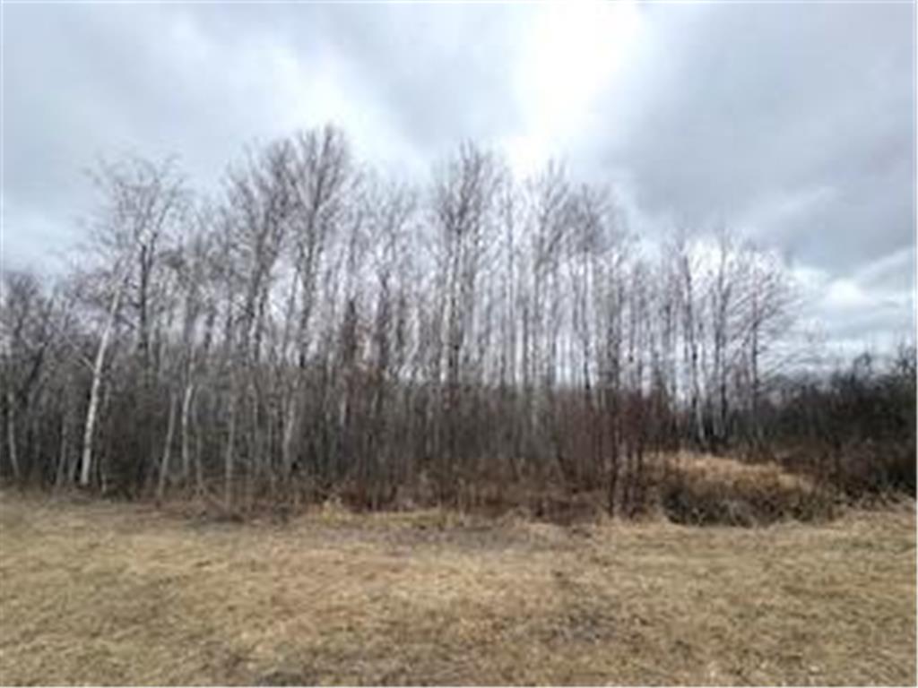 TBD 450th Street Fleming Twp MN 55760 7054866 image2