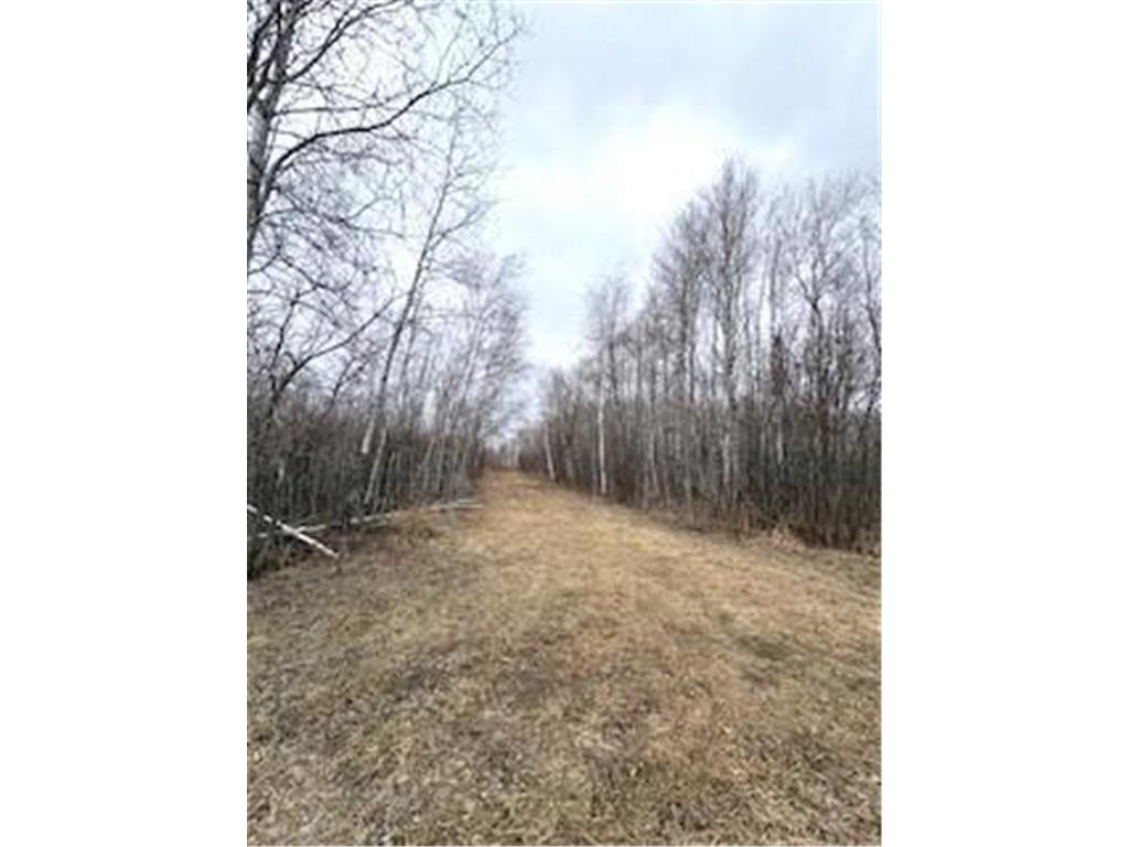 TBD 450th Street Fleming Twp MN 55760 7054866 image3