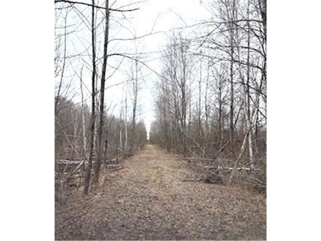 TBD 450th Street Fleming Twp MN 55760 7054866 image4