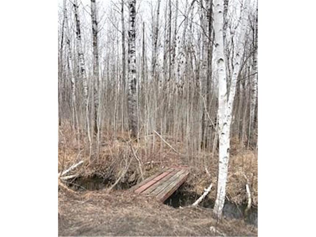 TBD 450th Street Fleming Twp MN 55760 7054866 image5