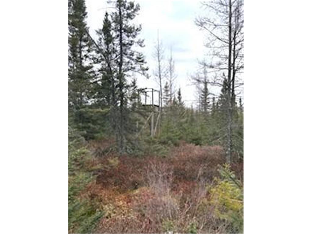 TBD 450th Street Fleming Twp MN 55760 7054866 image7