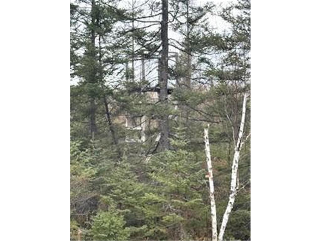 TBD 450th Street Fleming Twp MN 55760 7054866 image8