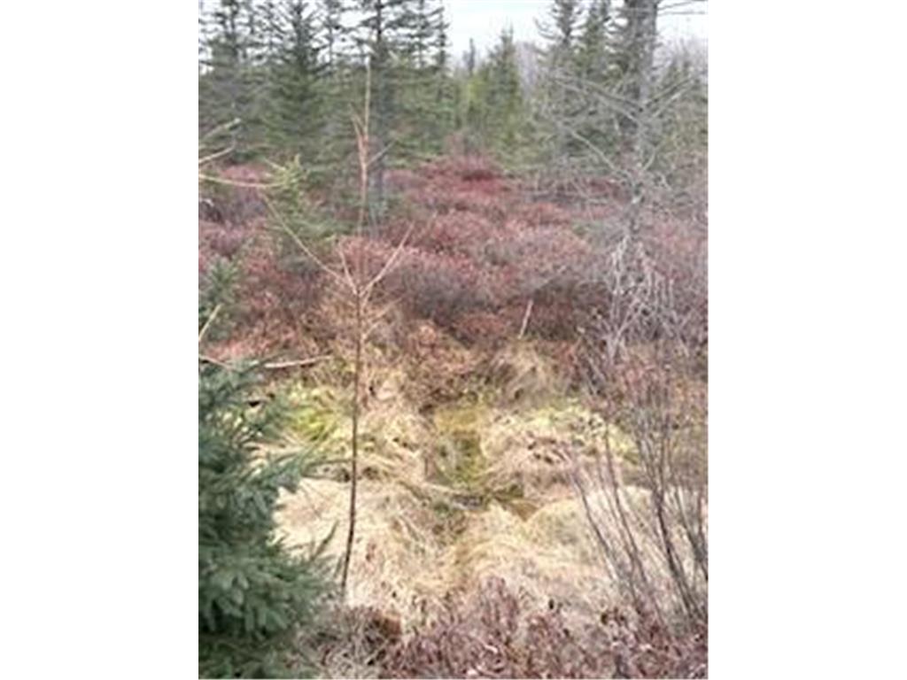 TBD 450th Street Fleming Twp MN 55760 7054866 image9