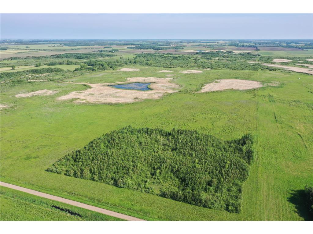 TBD 450th Street NW Nelson Park Twp MN 56732 6393742 image1