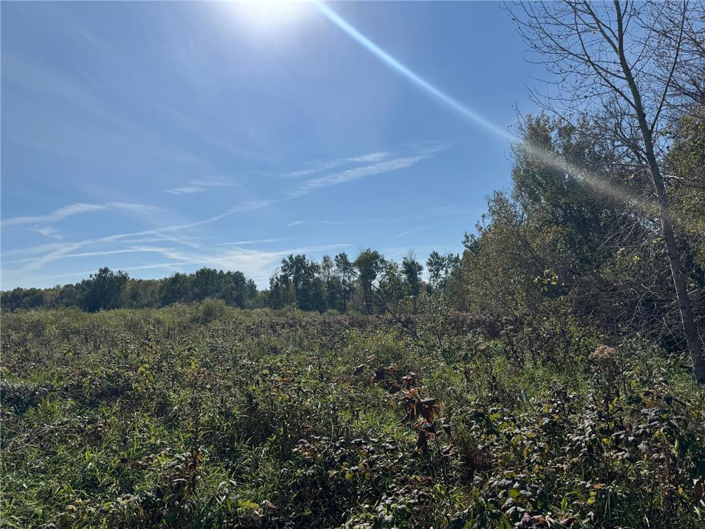 TBD 460th Lane Palisade MN 56469 6800874 image12