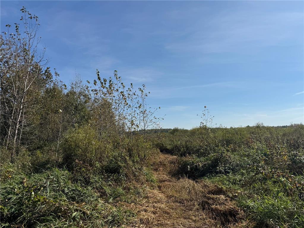 TBD 460th Lane Palisade MN 56469 6800874 image13