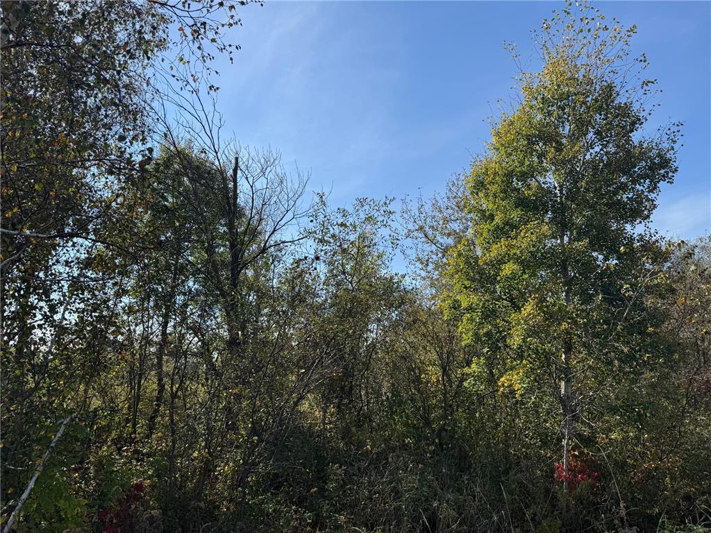 TBD 460th Lane Palisade MN 56469 6800874 image14