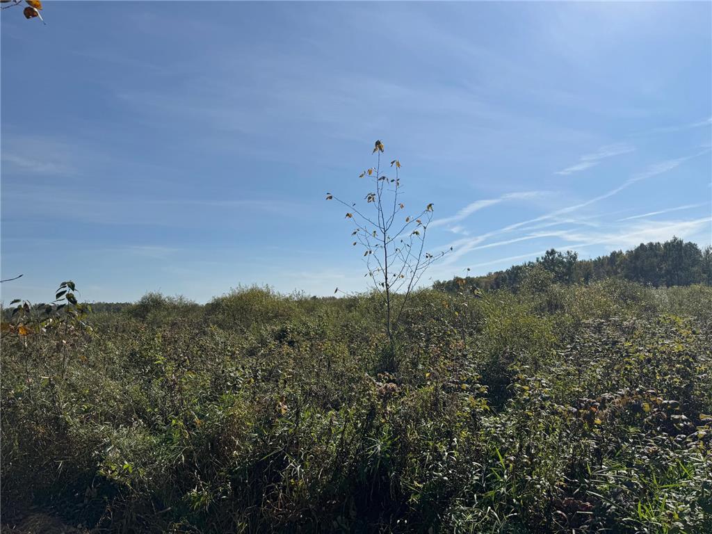 TBD 460th Lane Palisade MN 56469 6800874 image15