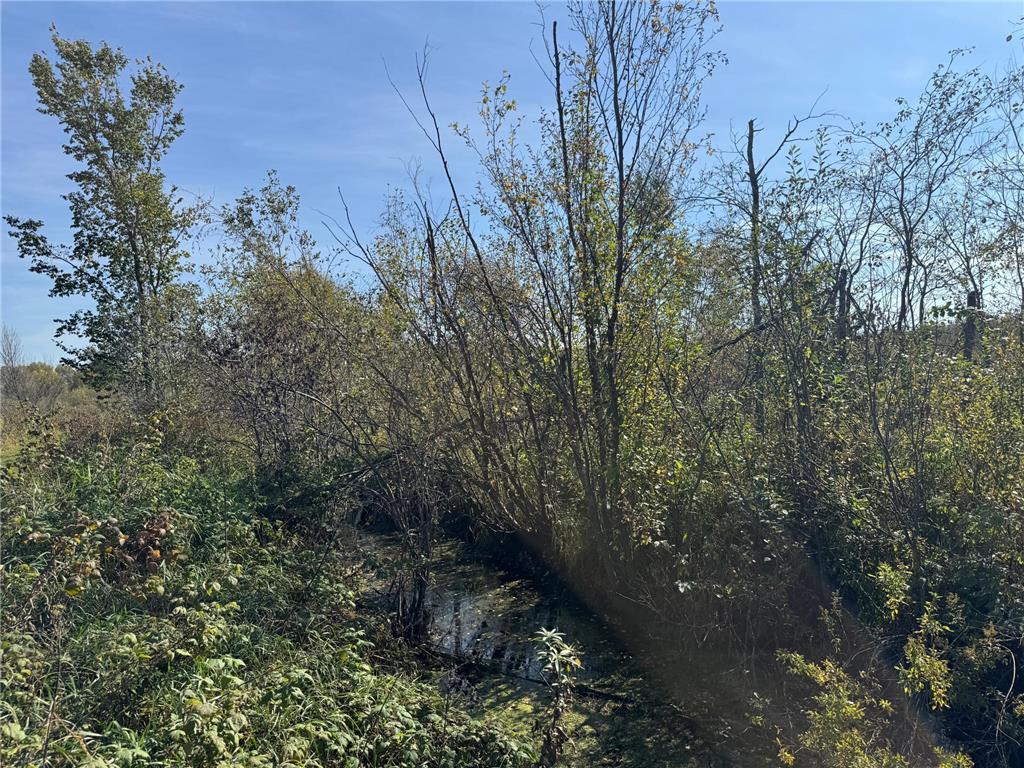 TBD 460th Lane Palisade MN 56469 6800874 image19
