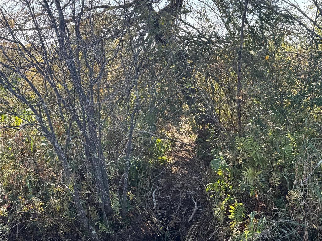 TBD 460th Lane Palisade MN 56469 6800874 image20