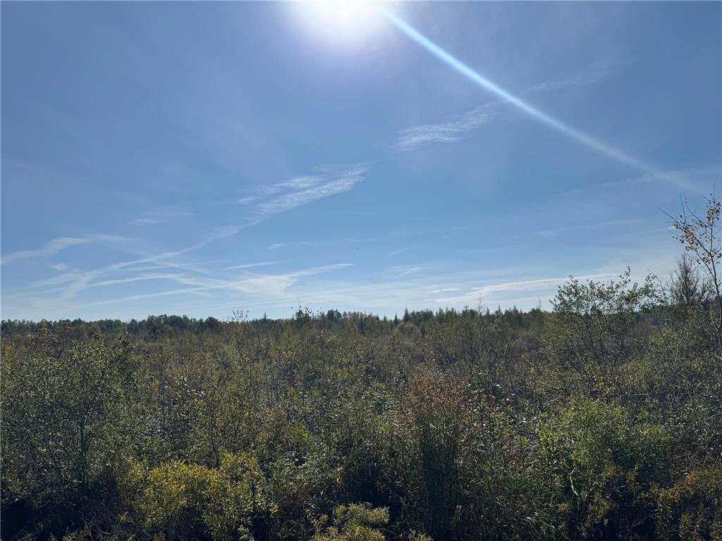 TBD 460th Lane Palisade MN 56469 6800874 image21