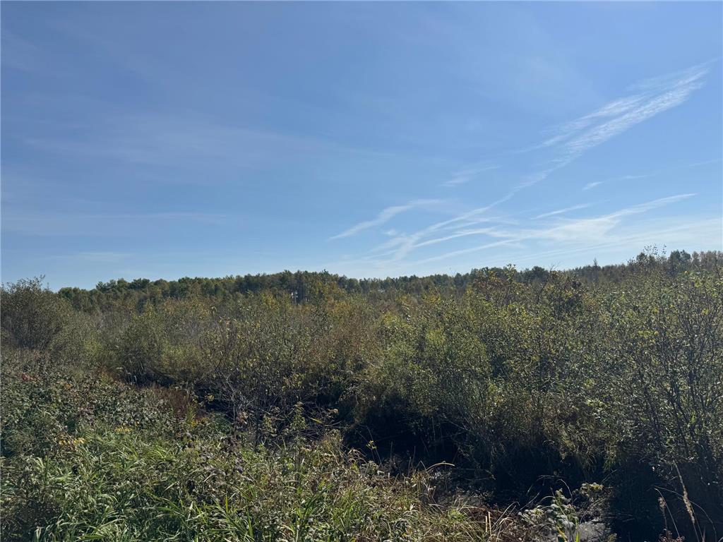 TBD 460th Lane Palisade MN 56469 6800874 image22