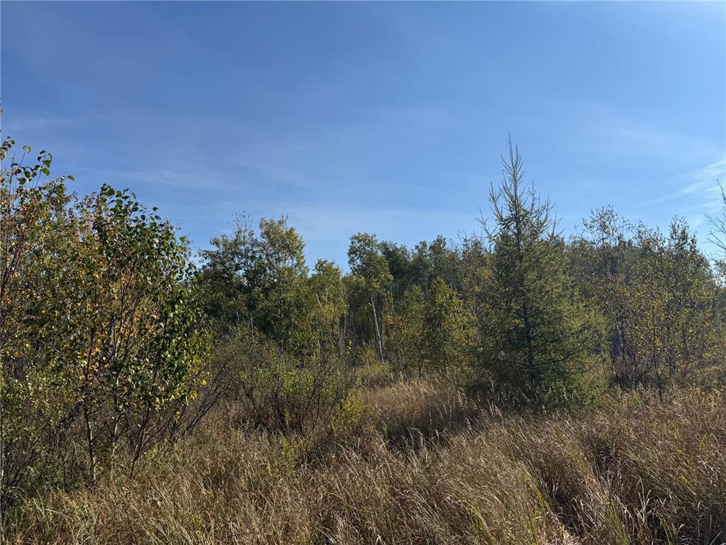 TBD 460th Lane Palisade MN 56469 6800874 image23