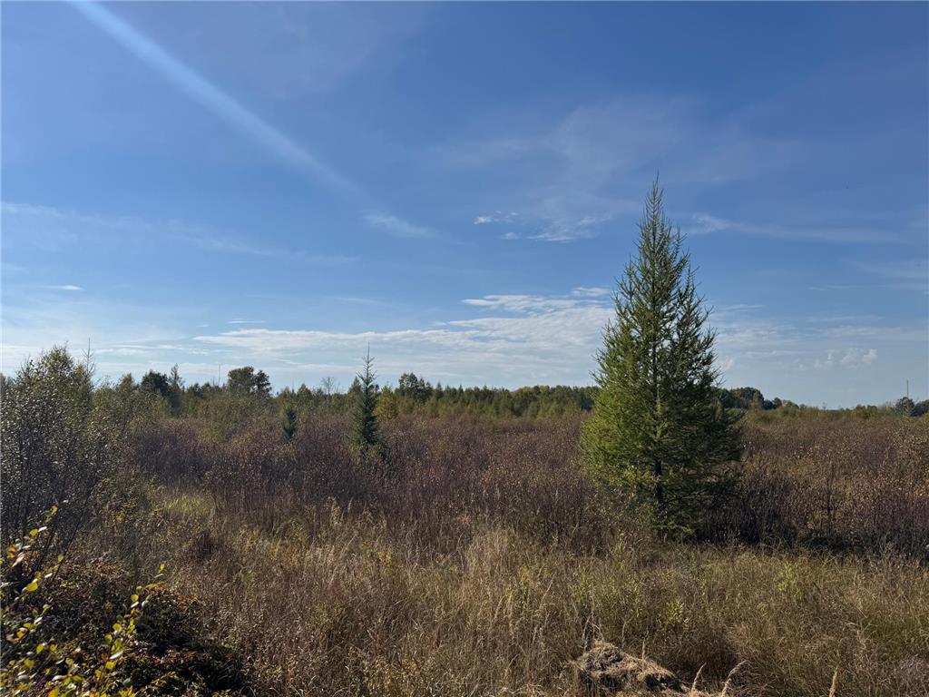 TBD 460th Lane Palisade MN 56469 6800874 image25