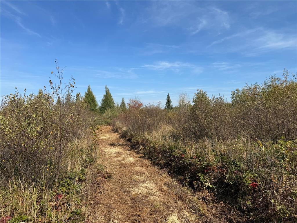 TBD 460th Lane Palisade MN 56469 6800874 image26