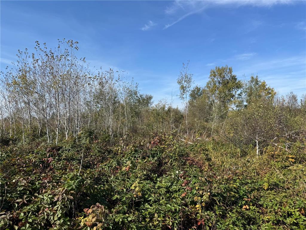 TBD 460th Lane Palisade MN 56469 6800874 image27