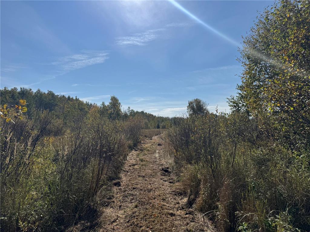 TBD 460th Lane Palisade MN 56469 6800874 image28